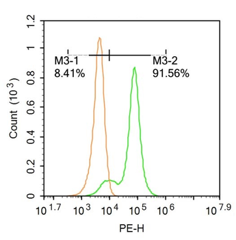 GDF9 Rabbit Polyclonal Antibody