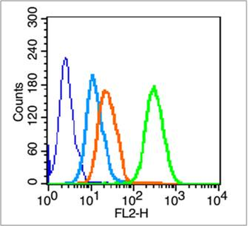 CD41/ITGA2B Rabbit Polyclonal Antibody