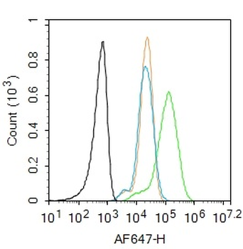 IL-1 Alpha Propeptide Rabbit Polyclonal Antibody