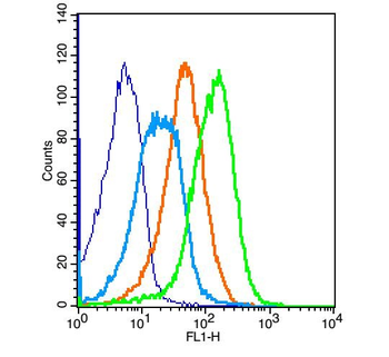 LPA2 Rabbit Polyclonal Antibody