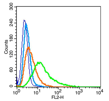 Nephrin Rabbit Polyclonal Antibody