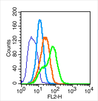 Nephrin Rabbit Polyclonal Antibody