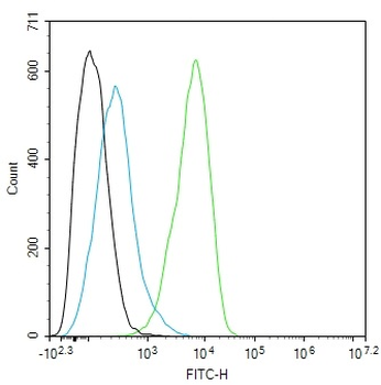 CD80 Mouse Monoclonal Antibody