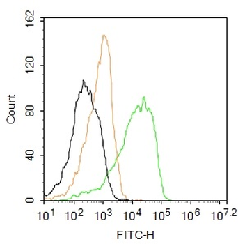 TSPYL5 Rabbit Polyclonal Antibody (BF488)