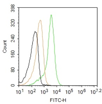 IL-4I1 Rabbit Polyclonal Antibody (BF488)