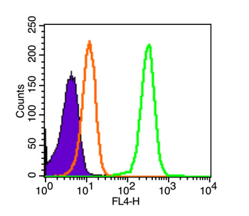 Tissue factor Rabbit Polyclonal Antibody (BF647)