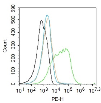 SLCO2A1 Rabbit Polyclonal Antibody