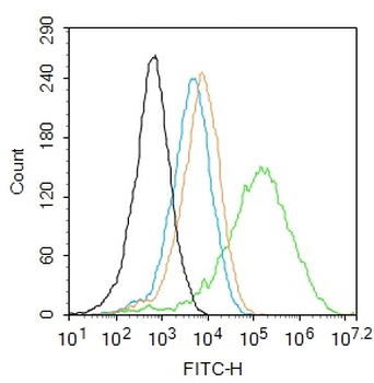 DIS3L2 Rabbit Polyclonal Antibody