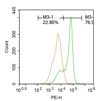 FBXL5 Rabbit Polyclonal Antibody