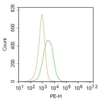 CD45 Rabbit Polyclonal Antibody