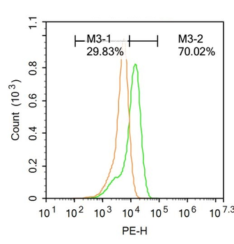 BRN3A Rabbit Polyclonal Antibody