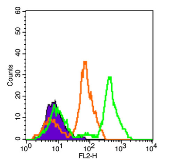 CD28 Rabbit Polyclonal Antibody (PE)