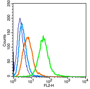 SIGLEC8 Rabbit Polyclonal Antibody