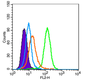 SNRNP200 Rabbit Polyclonal Antibody (PE)