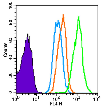 CD1C Rabbit Polyclonal Antibody