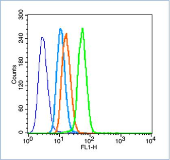 HIF-1 Alpha Rabbit Polyclonal Antibody