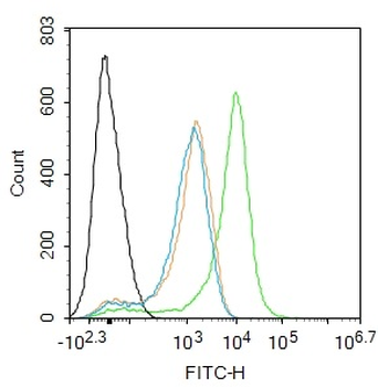 HIF-1 Alpha Rabbit Polyclonal Antibody