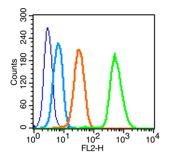 C-Kit/CD117 Rabbit Polyclonal Antibody