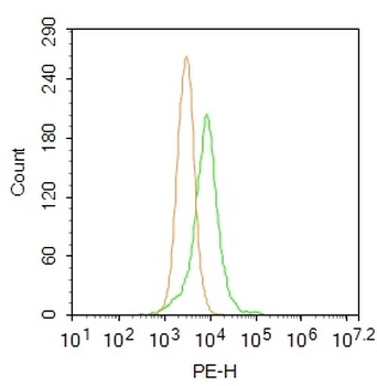 Acrosin Rabbit Polyclonal Antibody