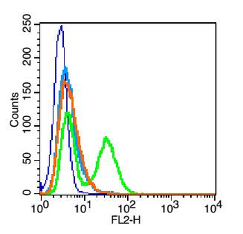 CD62p Rabbit Polyclonal Antibody