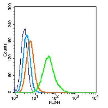 Phospho-E2F1 (Ser337) Rabbit Polyclonal Antibody