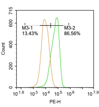 Hexokinase 1 Rabbit Polyclonal Antibody