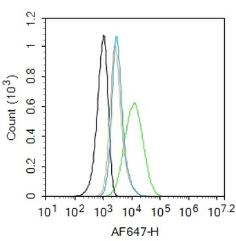 CD44v5 Rabbit Polyclonal Antibody