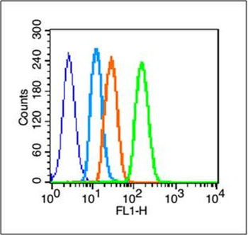 Phospho-EGFR (Tyr1138) Rabbit Polyclonal Antibody