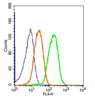 PLCG 2 Rabbit Polyclonal Antibody