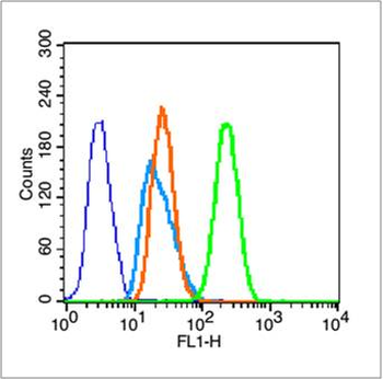 Histone H3 (Di Methyl K9) Rabbit Polyclonal Antibody