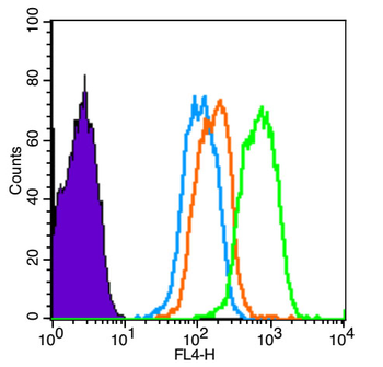 JNK1+JNK2+JNK3 Rabbit Polyclonal Antibody