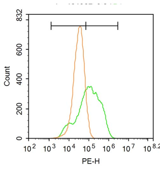 LDL Rabbit Polyclonal Antibody