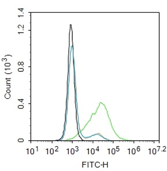 ACE2 Rabbit Polyclonal Antibody