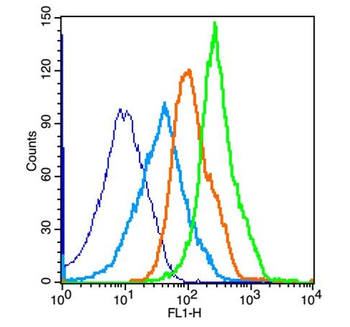 Phospho-mTOR (Ser2481) Rabbit Polyclonal Antibody