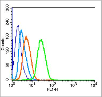 Phospho-P53 (Ser315) Rabbit Polyclonal Antibody
