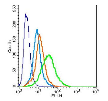 PPAP2A Rabbit Polyclonal Antibody