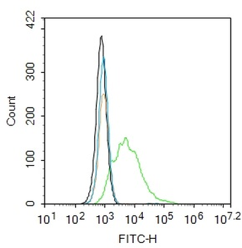 Phospho-AKT1 (Ser129) Rabbit Polyclonal Antibody