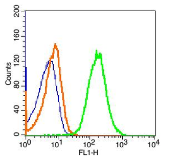 Ly6a Rabbit Polyclonal Antibody