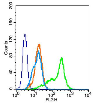 SH2D2A Rabbit Polyclonal Antibody