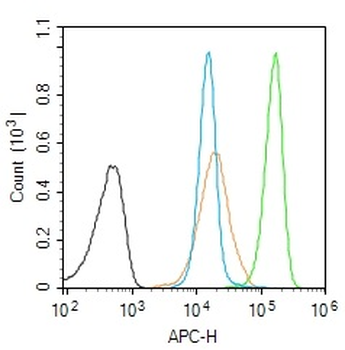 Phospho-STAT5b (Ser731) Rabbit Polyclonal Antibody