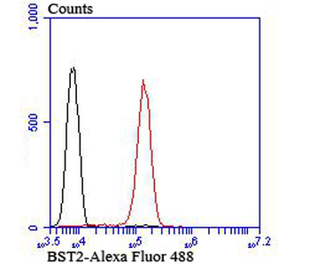 BST2 Recombinant Rabbit Monoclonal Antibody