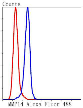 MMP14 Recombinant Rabbit Monoclonal Antibody