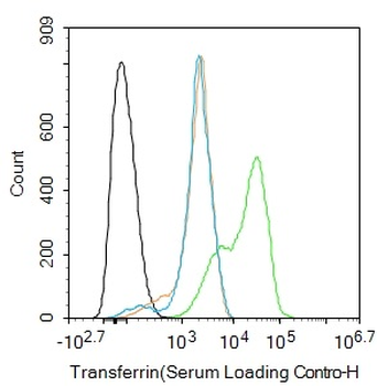 Transferrin Mouse Monoclonal Antibody (Serum Loading Control)