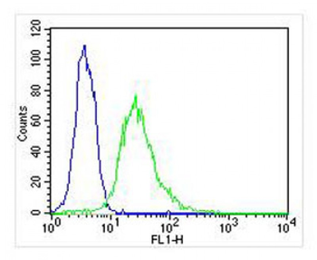 EEF1E1 Mouse Monoclonal Antibody