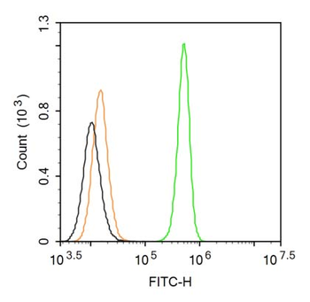 Phospho-Mst1(Thr183) + Mst2(Thr180) Rabbit pAb, FITC conjugated
