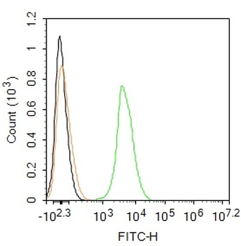 Phospho-Mst1(Thr183) + Mst2(Thr180) Rabbit pAb, FITC conjugated