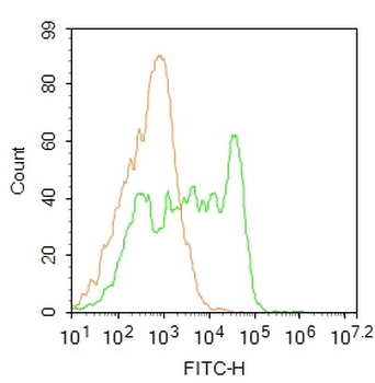 Ly6a Rabbit Polyclonal Antibody (FITC)