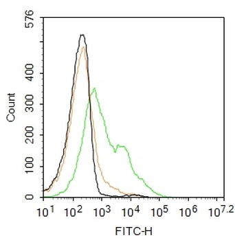 Ly6a Rabbit Polyclonal Antibody (FITC)