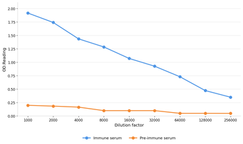 ACLY Antibody