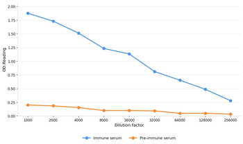 EPO Rabbit Polyclonal Antibody